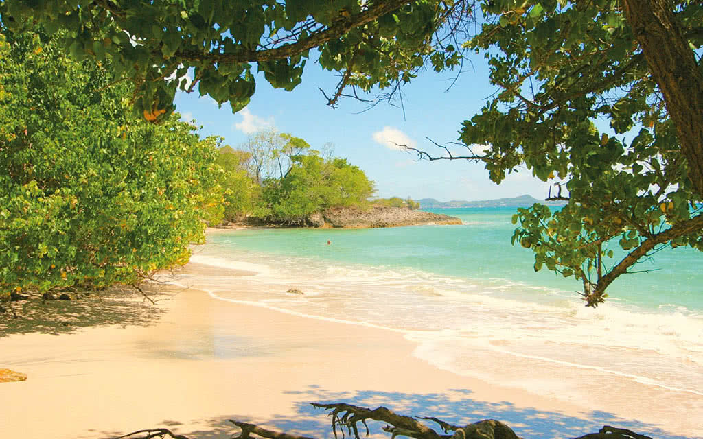 COMBINÉ 2 ILES : GUADELOUPE + MARTINIQUE Zenitude Le Salako + Karibéa Amyris 14 nuits ***